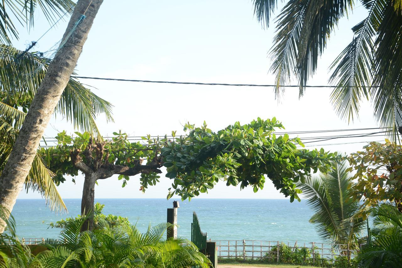 Sea View Tourist Inn タンガラ エクステリア 写真