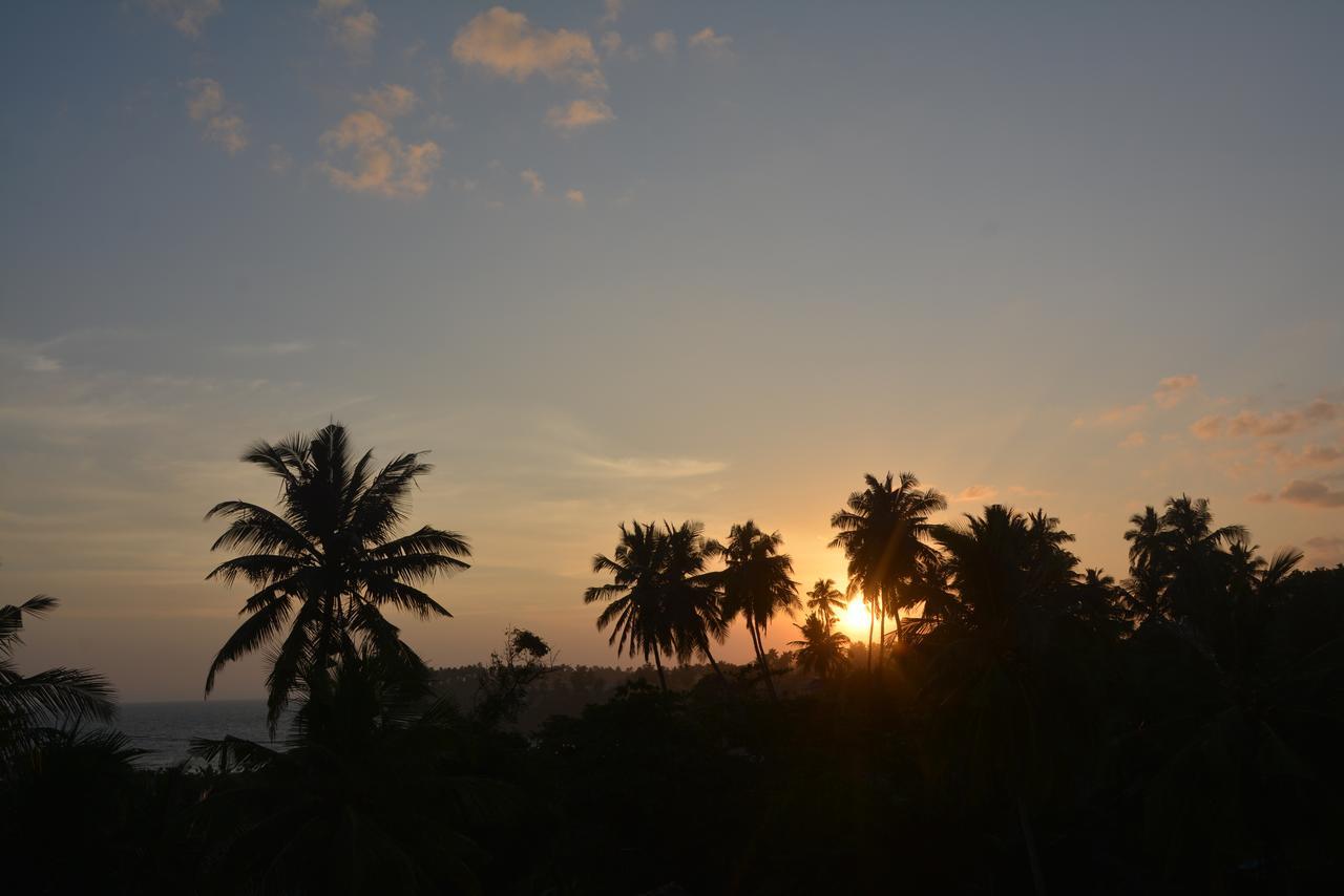 Sea View Tourist Inn タンガラ エクステリア 写真