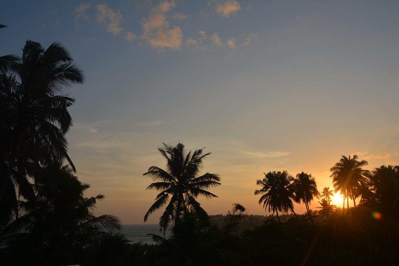 Sea View Tourist Inn タンガラ エクステリア 写真